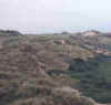 sdYellowDunes1.jpg (79989 bytes)